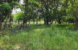 14547 EDGEMONT RD, SMITHSBURG, MD 21783