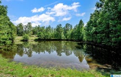 587 MOUNTAIN DRIVE, REMLAP, AL 35133