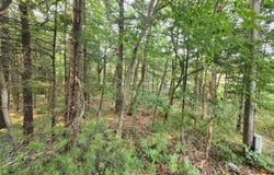 2400 Maple Road, Manistee, MI 49660