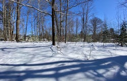 Mallard Trail lot: 41&42, Gaylord, MI 49735