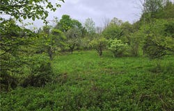 Mead Hollow Road, Bolivar, NY 14754