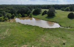 Wynne, AR 72396