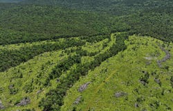 001 N 4220 Rd, Antlers, OK 74536