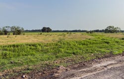 ELM BRANCH lot: 6, Elm Mott, TX 76640