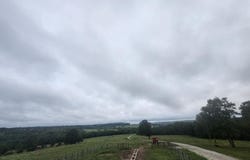 9551 C-Highway Ff, Mountain Grove, MO 65711