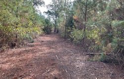 500 Pond Creek Rd, LUVERNE, AL 36049