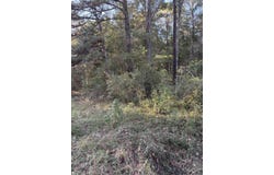 Beavert Lane, Murfreesboro, AR 71958