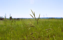 TBD Gruenhagen Road, Moorcroft, WY 82721