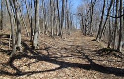 Co Rt 12, New Hampton, NY 10958