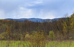 Lot #37.01 County Highway 4, Morris, NY 13808