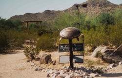 3042 E Elm Bend Rd, San Tan Valley, Paradise Valley, AZ 85253