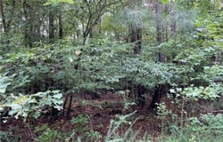10.88 AC Beech Creek Road, Gloucester County, VA 23061