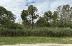31594 Tallgrass Court, Lakemoor, IL 60051
