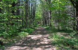 Newport Lot 8 Murray Road, Newport, ME 04953