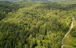 517 Lake Road, Fort Gay, WV 25514