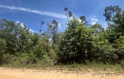 Tamarac Road, Marianna, FL 32448