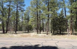 922 Pine Creek Drive, Lakeside, AZ 85929