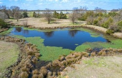 1155 County Road 2376, Winnsboro, TX 75494