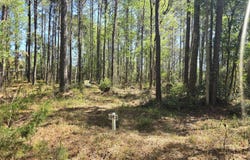 Renee Drive lot: 2, Hampstead, NC 28443