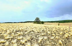 4795 County Road 71, Guffey, CO 80820