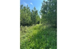 31.54 Acres Timber Wolf Drive, Hayward, WI 54843