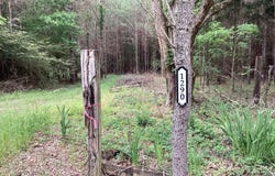 1290 Guy Branch Road, Cottonwood, AL 36320