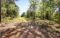 FM 852, Winnsboro, TX 75494