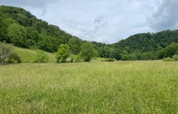 211 Cicerone Road, Sissonville, WV 25320