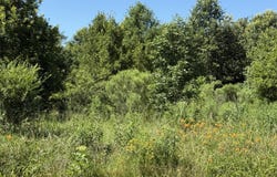 0 Hwy 854, Delhi, LA 71232