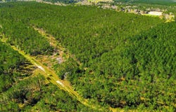 Silver Star Road, Sour Lake, TX 77659