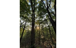 9999 Oak Ridge Road, Hendersonville, NC 28792
