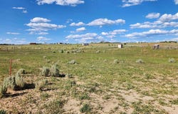 TBD Road P, Mancos, CO 81328