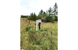 E 15 Mile Road, Barbeau, MI 49710