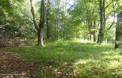 Henry Road, Cragsmoor, NY 12420
