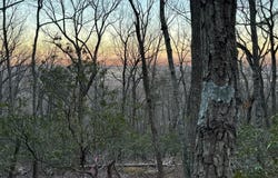 2406 JACKSON DRIVE, HAYMARKET, VA 20169