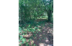 8.1ac County Road 1198, Cullman, AL 35057