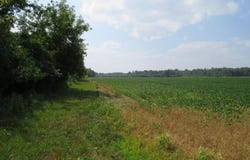 NE County Line Road, Coleman, MI 48618