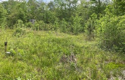 2472 Shine Road, Greenville, AL 36037