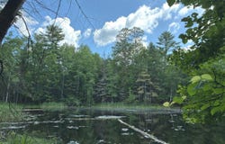 On KEIN RD, Mercer, WI 54547