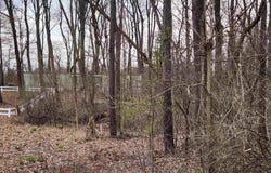 856 Lions Drive, Rome City, IN 46784