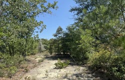 39.317 Ronnie Road, Buena Vista, GA 31803