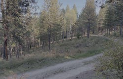 13413 Kelly Gulch Rd, Pinehurst, ID 83850
