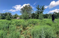 Elsberry, MO 63343