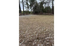 6248 Lakeshore Drive, Palms, MI 48465