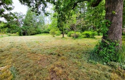 88109 8TH ST, Veneta, OR 97487