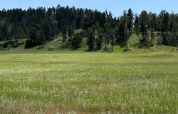 E6 Soaring Eagle Road, Hulett, WY 82720