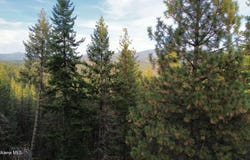 13413 Kelly Gulch Rd, Pinehurst, ID 83850