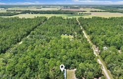 10145 FLIKKEMA AVENUE, HASTINGS, FL 32145