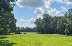 124 Acres County Road 170, Moulton, AL 35650