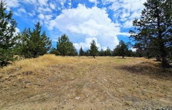 Canvasback Drive, Bonanza, OR 97623